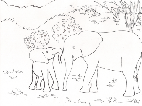 Little Sundzu challenging an older elephant